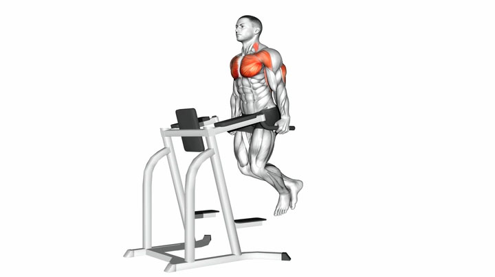 chest dips lower chest workout
