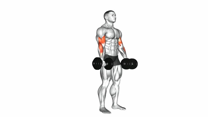 Bicep Curl (Dumbbell) - How to Instructions, Proper Exercise Form and ...