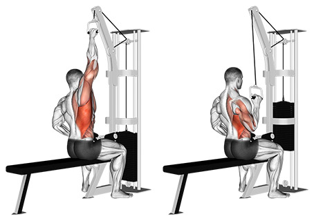 12041101 Cable one arm lat pulldown back small