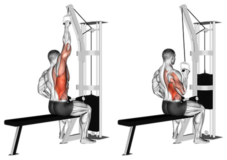 Back Exercises  Kneeling Lat Pulldown