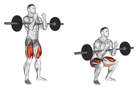 Zercher Squat - How to Instructions, Proper Exercise Form and Tips | Hevy  Exercise Library