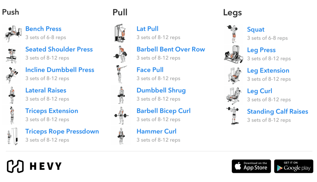 3 Day Split Workout Complete Guide