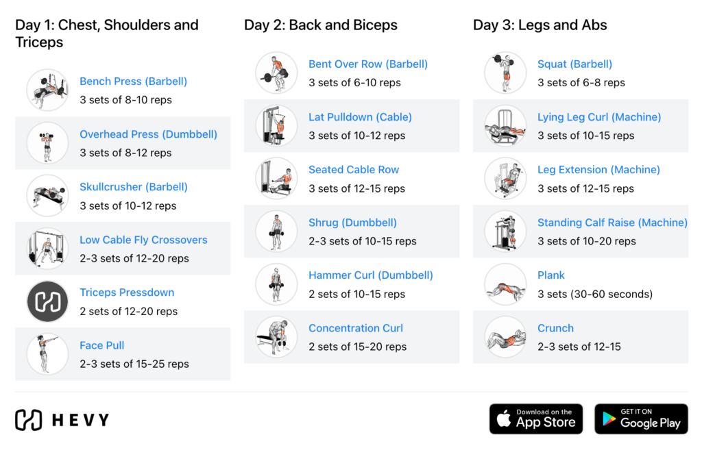 3 day split (bro split) upper body workout for beginners