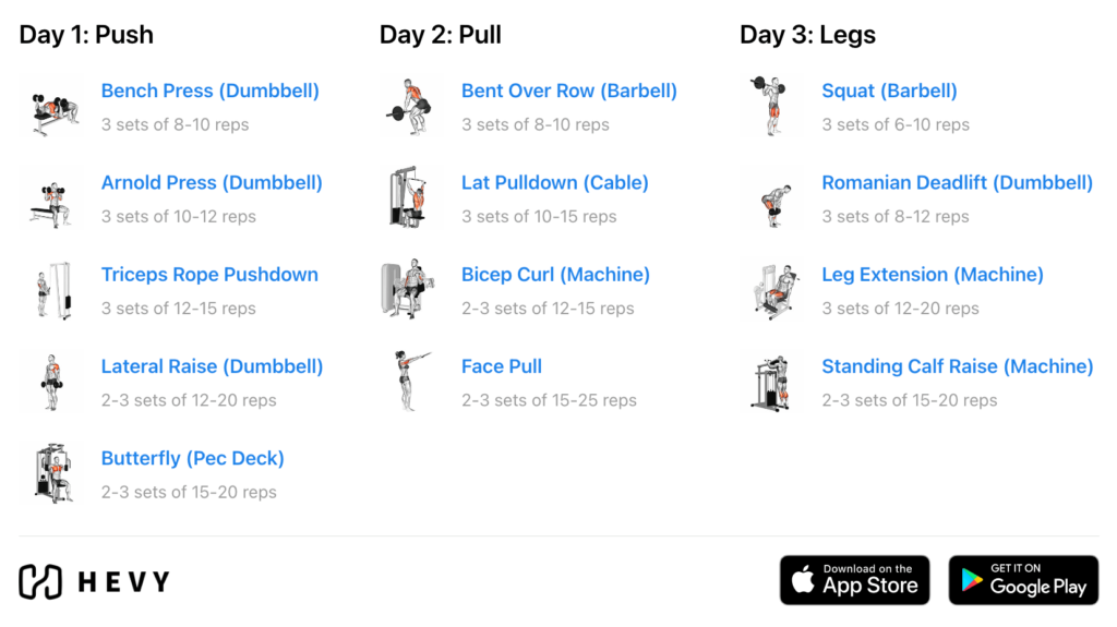 6 Day Split Workout - The Complete Guide (2024) - Hevy