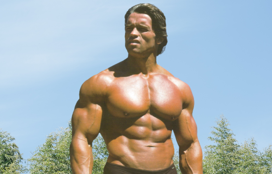 Arnold Schwarzenegger's Chest Workout