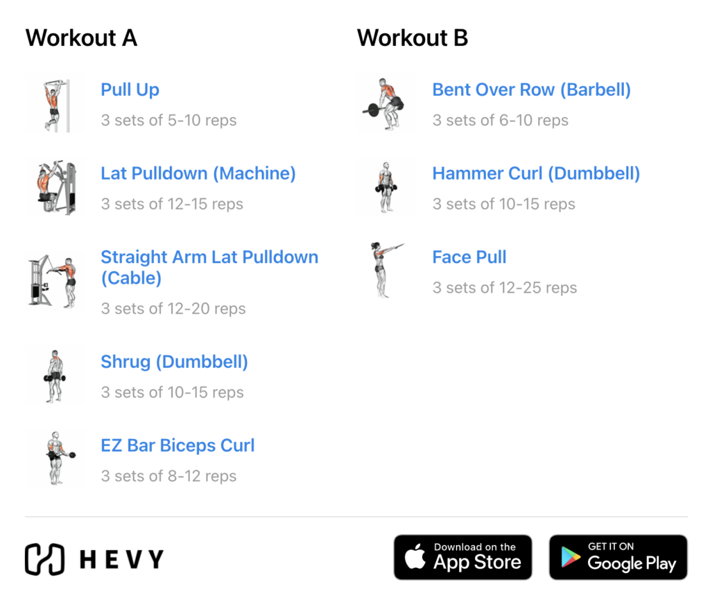 BodyBeast Build - Back and Biceps Workout Sheet, PDF