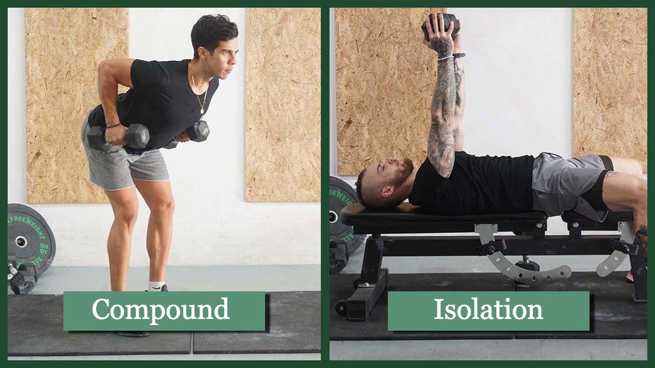 10 Compound and 4 Isolation Back Exercises for an Impressive V-Taper