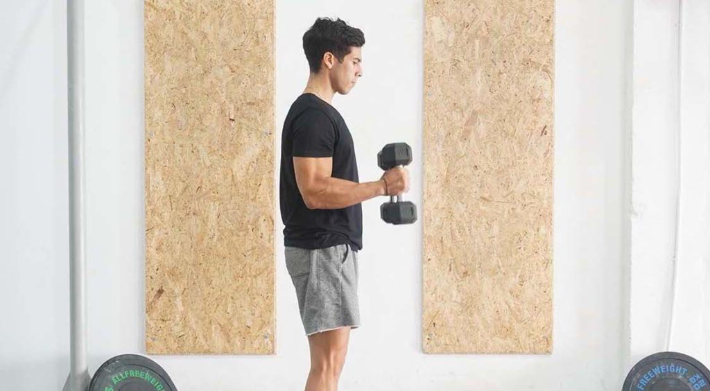 man hammer curl dumbbell upper body workout for beginners