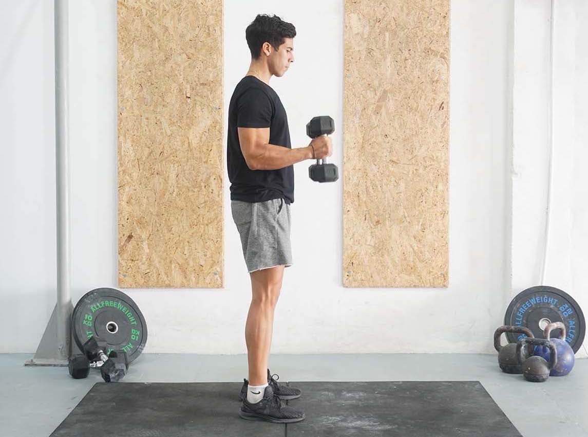 Pinwheel Curl (Dumbbell) How to Instructions, Proper Exercise Form