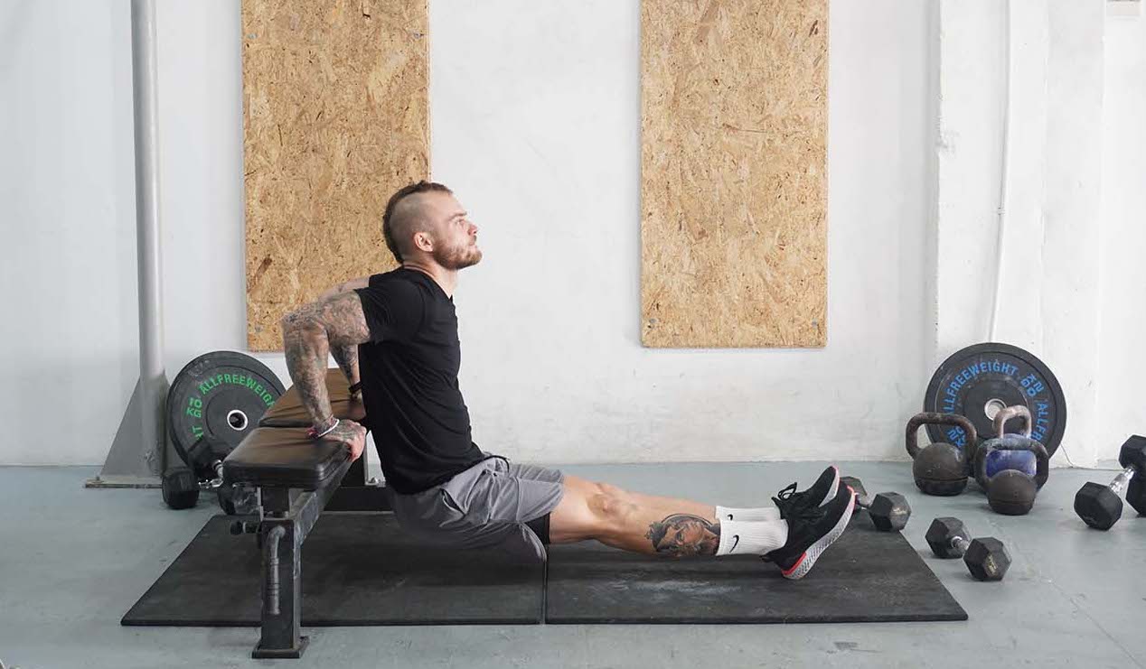 Chest Dip How to Instructions, Proper Exercise Form and Tips Hevy