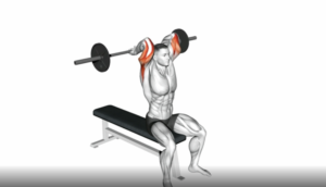 man tricep extension barbell