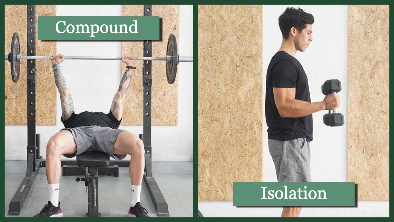 8 Isolation and 7 Compound Bicep Exercises For Big Arms - Hevy