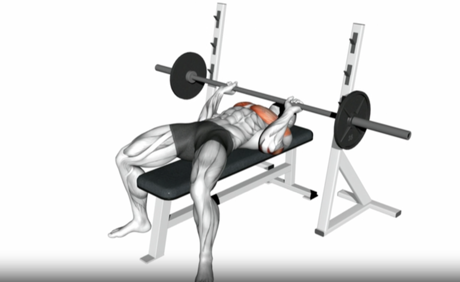 Bench Press Close Grip (Barbell) Learn the Benefits and Mistakes to