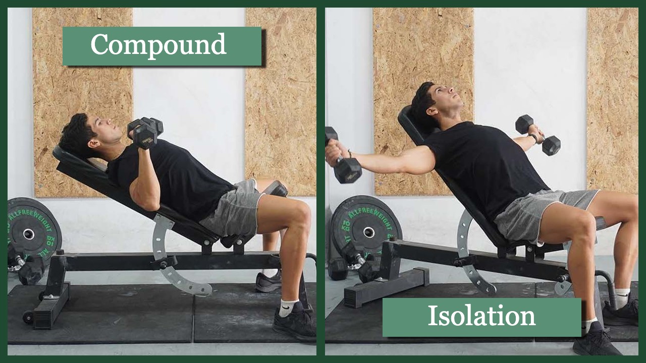 8 Compound and 6 Isolation Chest Exercises for Strong Pecs