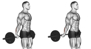 Behind the Back Bicep Wrist Curl Barbell