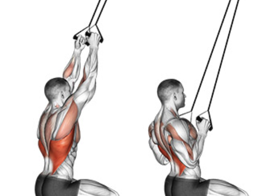 Lat Pulldown (band) - Learn the Benefits and Get Expert Tips