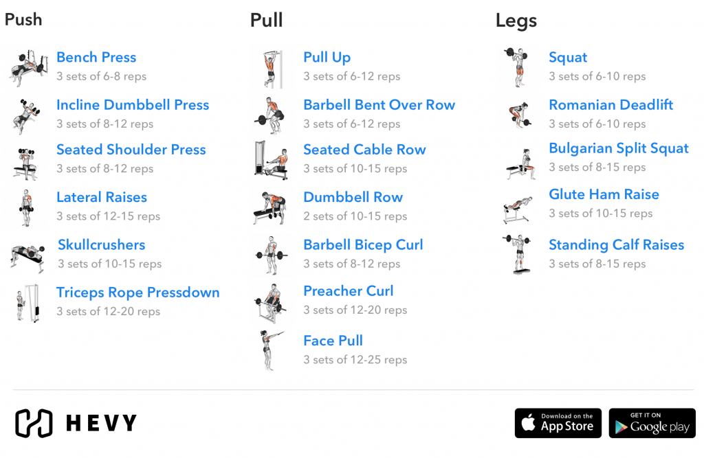 Push Pull Legs Ppl Training Split